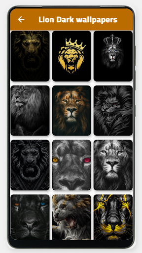 Lion Wallpapers