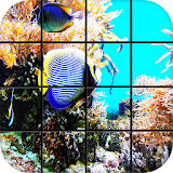 Aquarium Puzzle Games icon