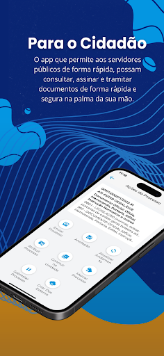 SEI Piauí Screen 2