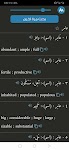 screenshot of معجم المعاني عربي إنجليزي +