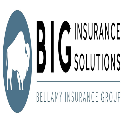 Insure Docs 24/7 – BIG logo