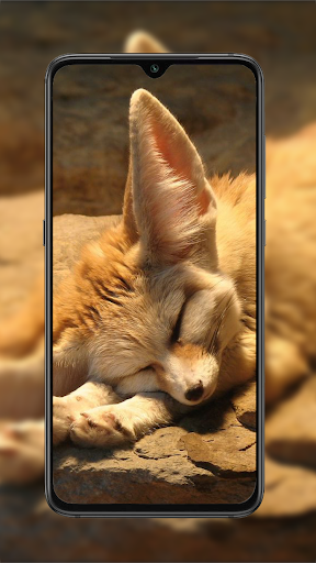 Fox Wallpaper 2