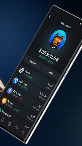 Rise - Aptos Wallet Screen 2