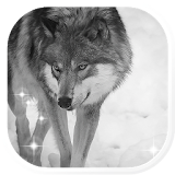Wolf Free HQ live wallpaper icon