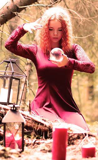 Предварительный просмотр приложения