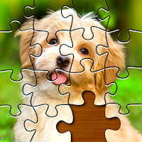 Jigsaw Puzzles Picture Puzzle