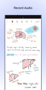 Noteshelf 4