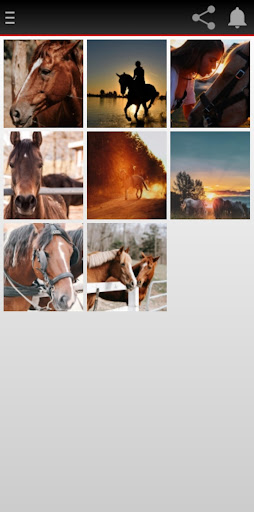 Mascota en tu Pantalla