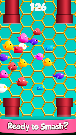 Android application Cool Birds Fun Smash for Kids screenshort