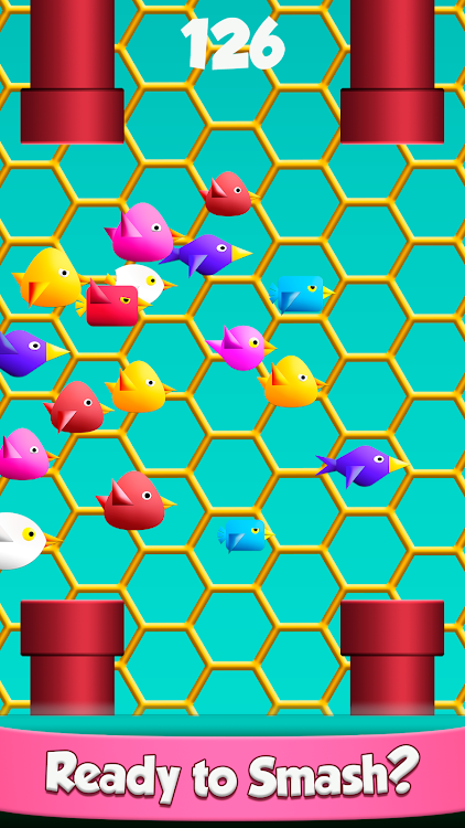Cool Birds Fun Smash for Kids - 1.0.42 - (Android)
