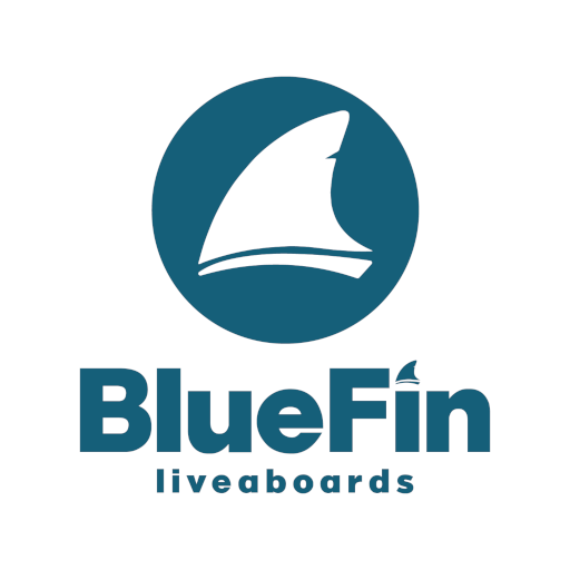 BluefinLiveaboards