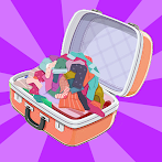 Luggage Organizer