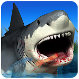 Beach Shark Simulator icon