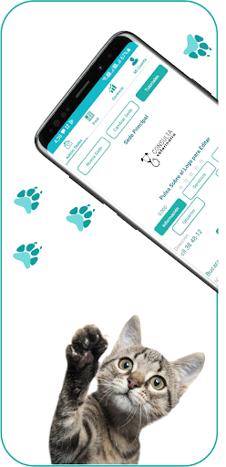 PetiBits Mvz Pro Screen 2