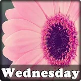 Messages for Wednesday icon