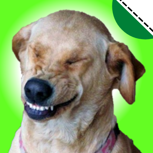 Stickers de perros graciosos