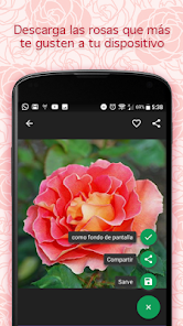Ramos de Rosas con Poemas - Apps on Google Play