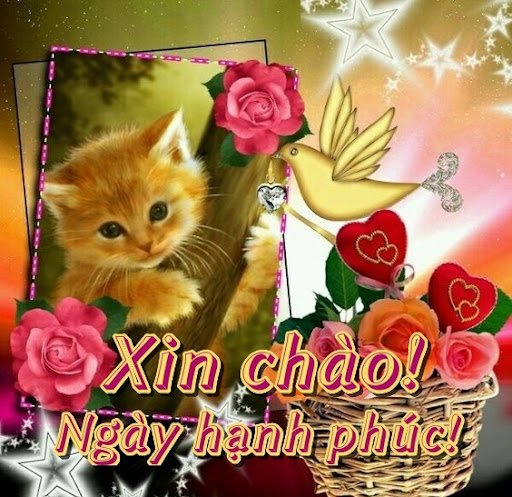 Android application Xin chào! Ngày hạnh phúc! screenshort