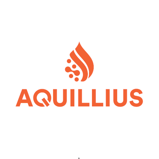 Aquillius Download on Windows