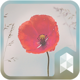 Flower Hearts launcher theme icon