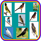 Novo Canto De Pássaros Brasileiros icon