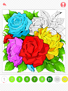 Paint by Number: Coloring Book