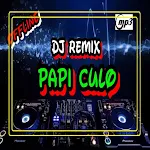 DJ PAPI CHULO OFFLINE Apk