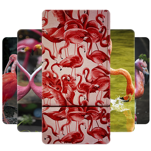 Flamingo Wallpapers logo