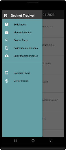 GesTradivel Screen 2