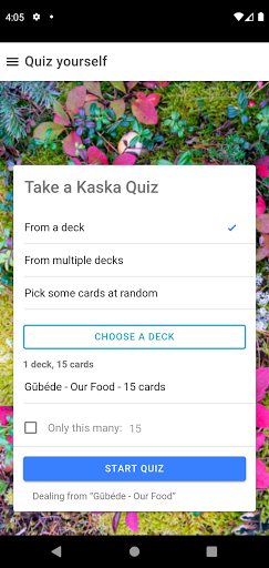 Kaska Cards Screen 2