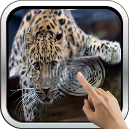 Symbolbild für Magic Touch: Leopard Live Wall