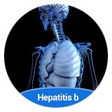 Info Hepatitis B icon