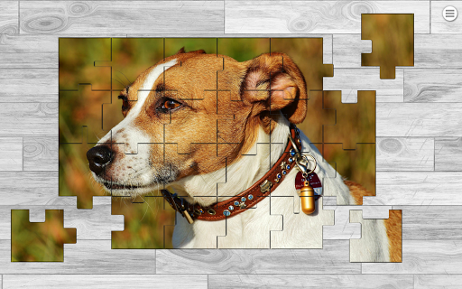 Jigsaw One Screen 2