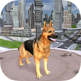 Big City Dog Simulator icon