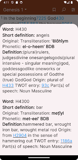 1611 KJV with Strong Lexicon Screen 3