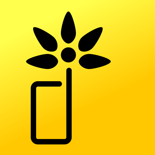 Die Rauchfrei App  Icon