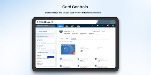 Screenshot of BluCurrent
