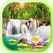Swans Waterfalls Live Wallpaper