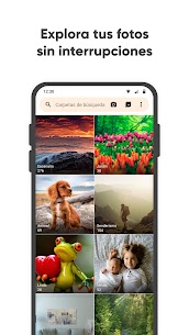 Descargar Simple Gallery Pro APK 2025; Desbloqueada 2