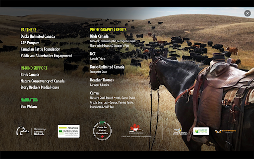 Guardians of the Grasslands Screen 2