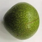 Cover Image of Herunterladen KALRO Avocado Varieties  APK