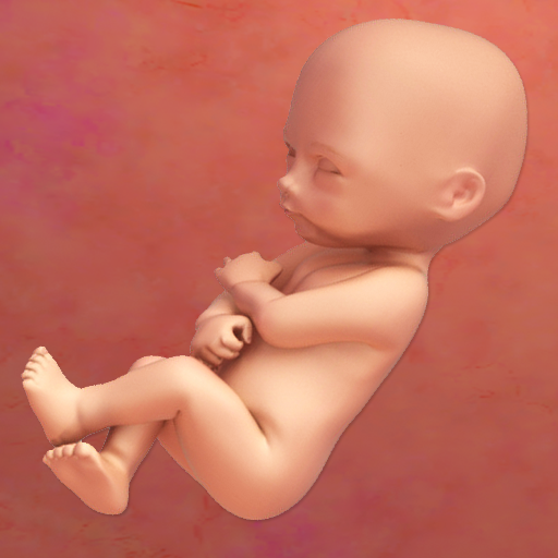 123 Baby Header - AppWisp.com