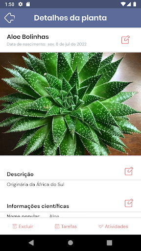 Suculentas Screen 2