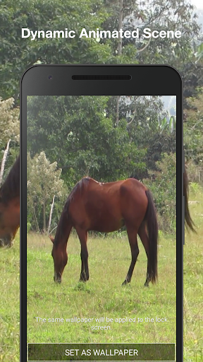 Horse Live Wallpaper Screen 2