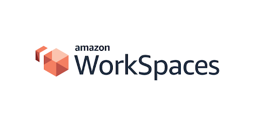 aws workspace download