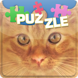 Baby Kitten Sliding Puzzle icon