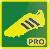 World Cup Brazil 2014 PRO icon