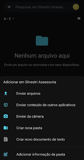 Silvestri Assessoria Screen 2