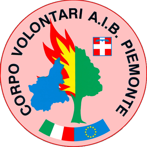 AIBVol2 logo