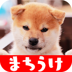 犬の可愛い壁紙 Google Play のアプリ